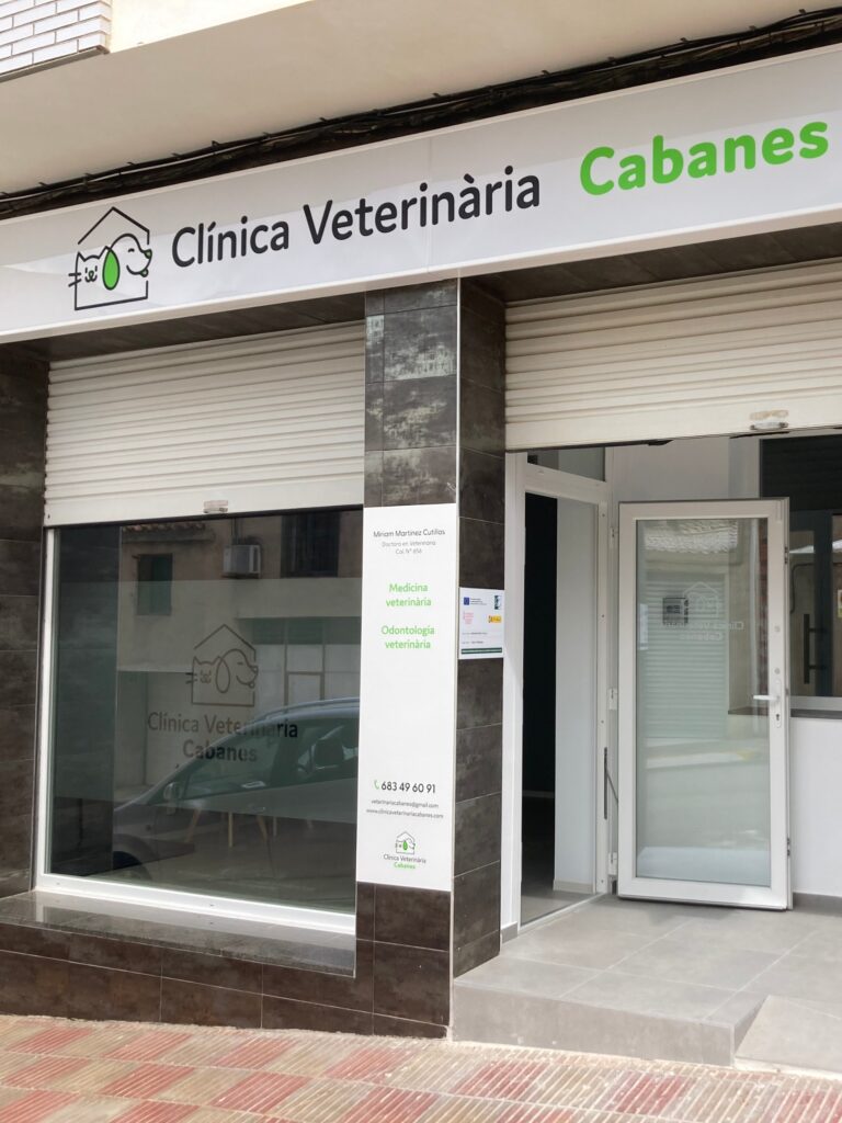 clinica animal en csatellon