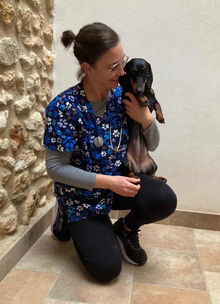 Perra flama y veterinaria con el animal en brazos