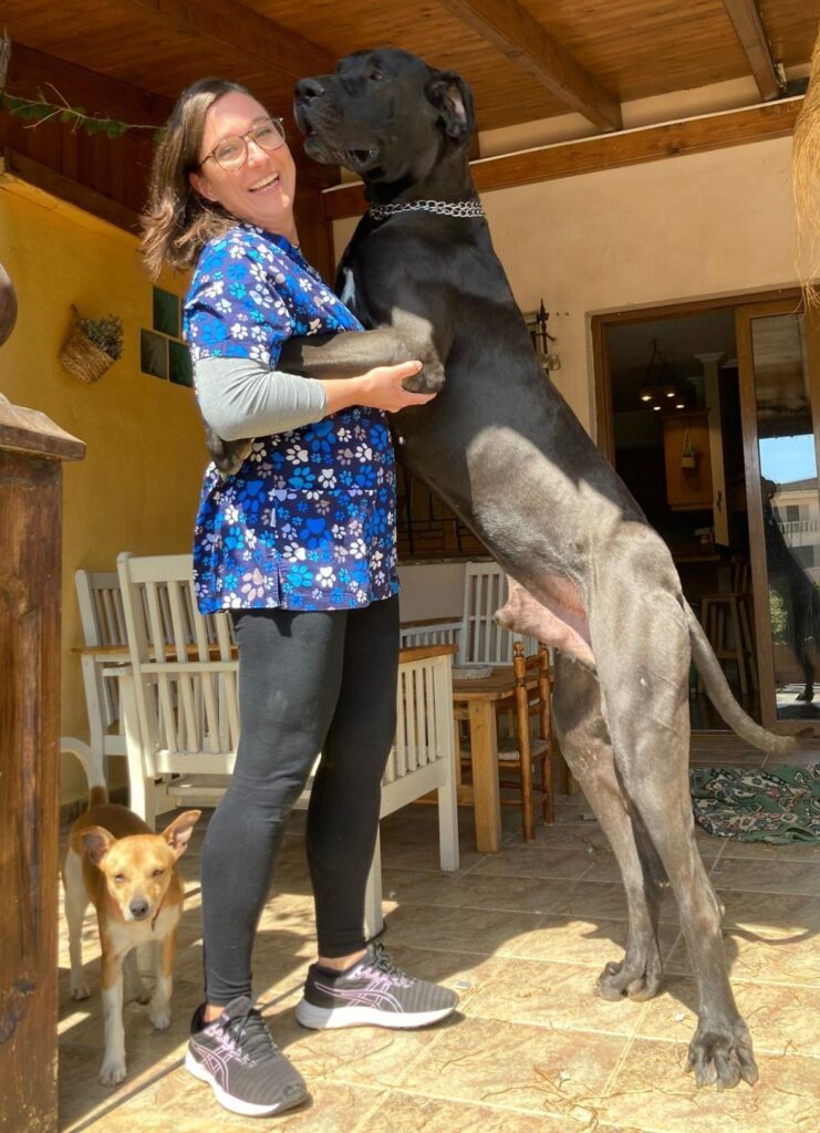 veterinaria con perro enorme levantado que le pasa la cabeza